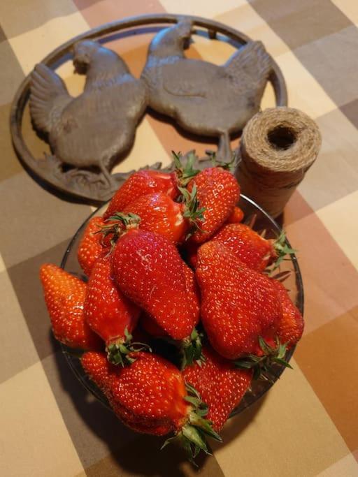 Entre Pierre Et Vigne - Charming Former Winery Farmhouse With Hot Tub & Swimming Pool Monestier  Exterior foto